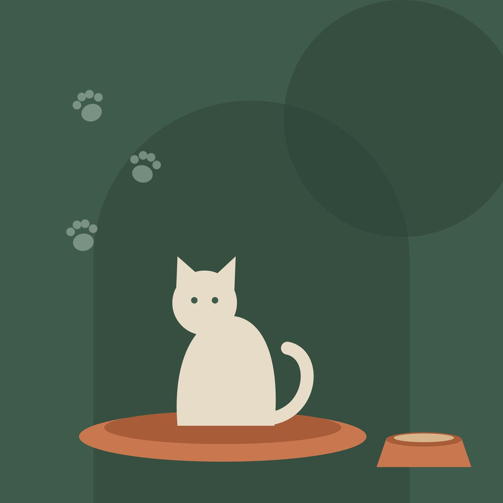 Le confort de vos compagnons