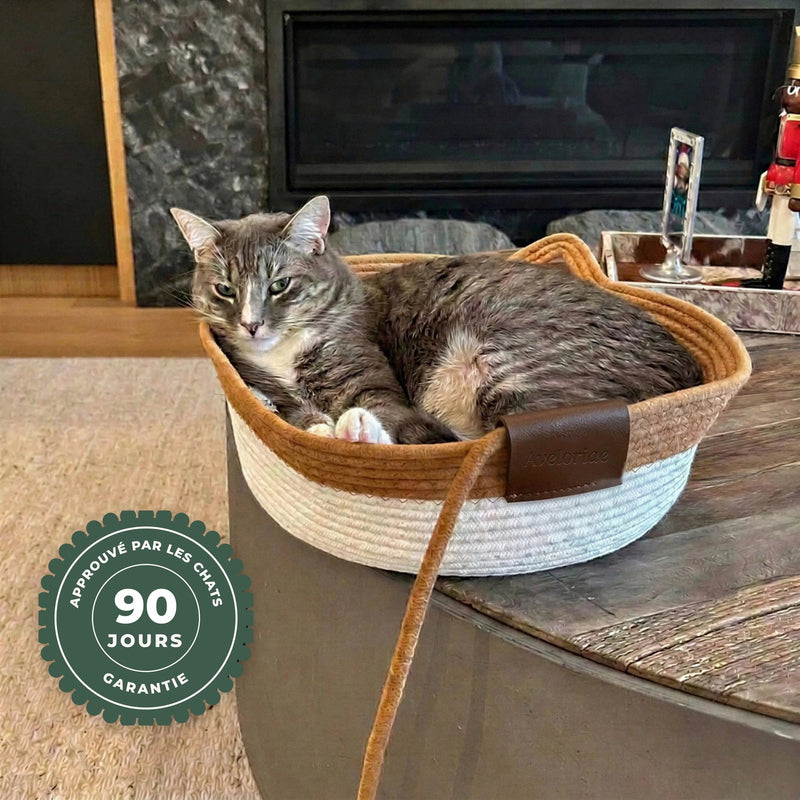 Le territoire naturel tressé à la main pour votre chat d’intérieur