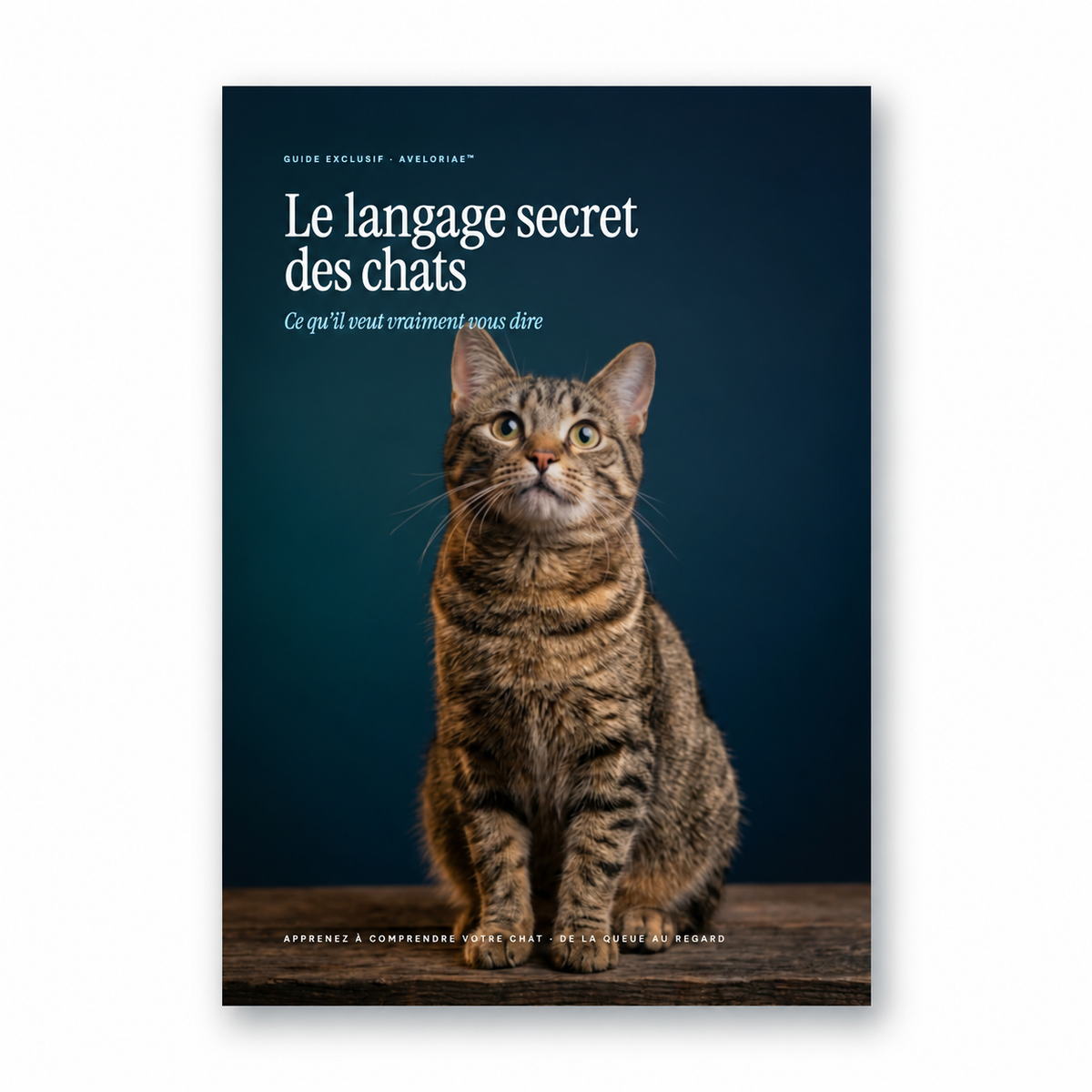 E-book « Le langage secret des chats »