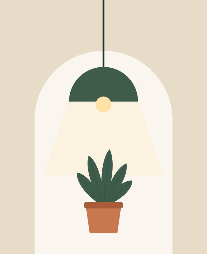 Déco & lumière