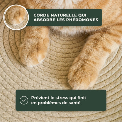 Panier en corde naturelle pour chat