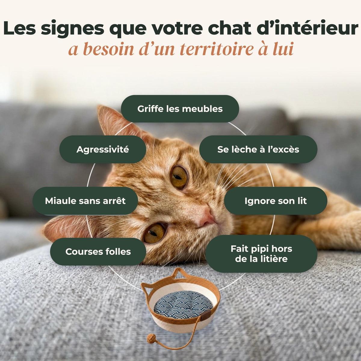 Panier en corde naturelle pour chat