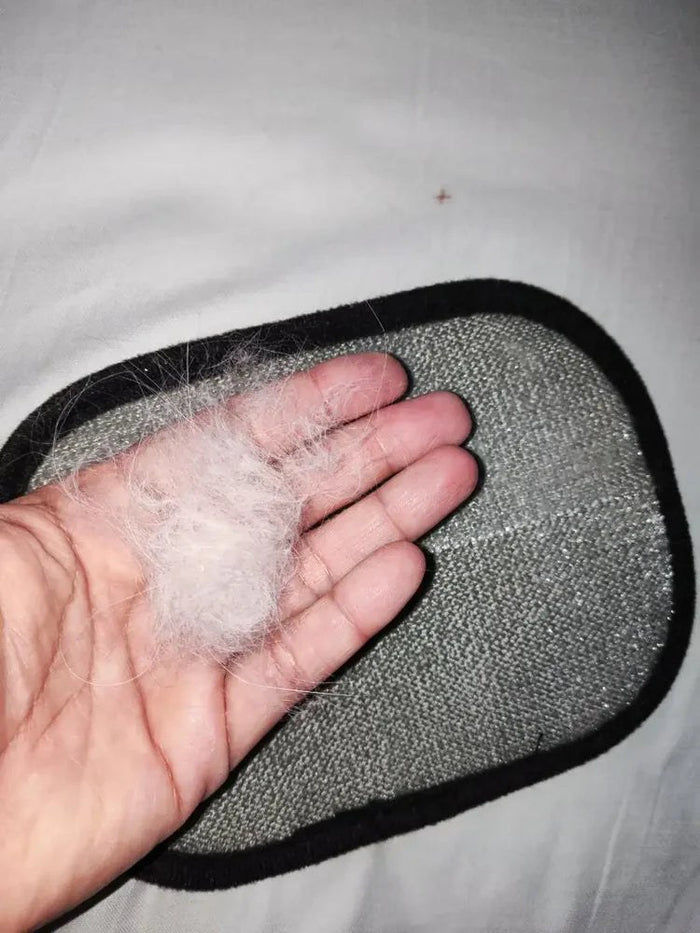 Incroyable ! Achetez-le tout de suite ! 🔥